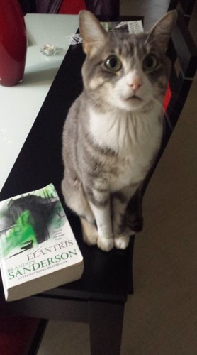 32231162_2432520823440526_2940079004452913152_n.jp