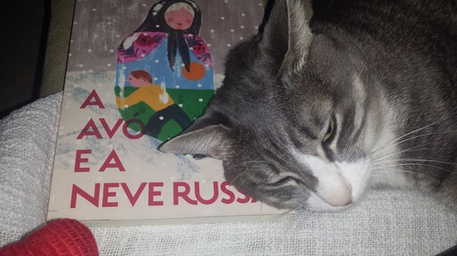 20645305_2015006061858673_9050076048630355037_o.jp