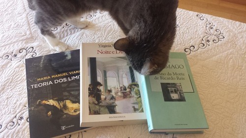 feira 2017.jpg feira 2017.jpg