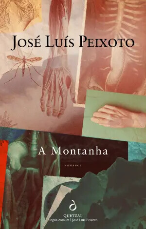 Capa do livro A Montanha de José Luís Peixoto