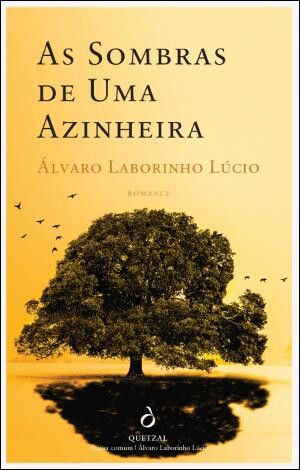 as sombras de uma azinheira.jpg