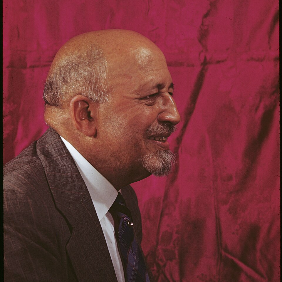 Agostinho da Silva: Retrato de perfil de um homem calvo com cavanhaque grisalho, vestindo terno e gravata, contra um fundo vermelho.