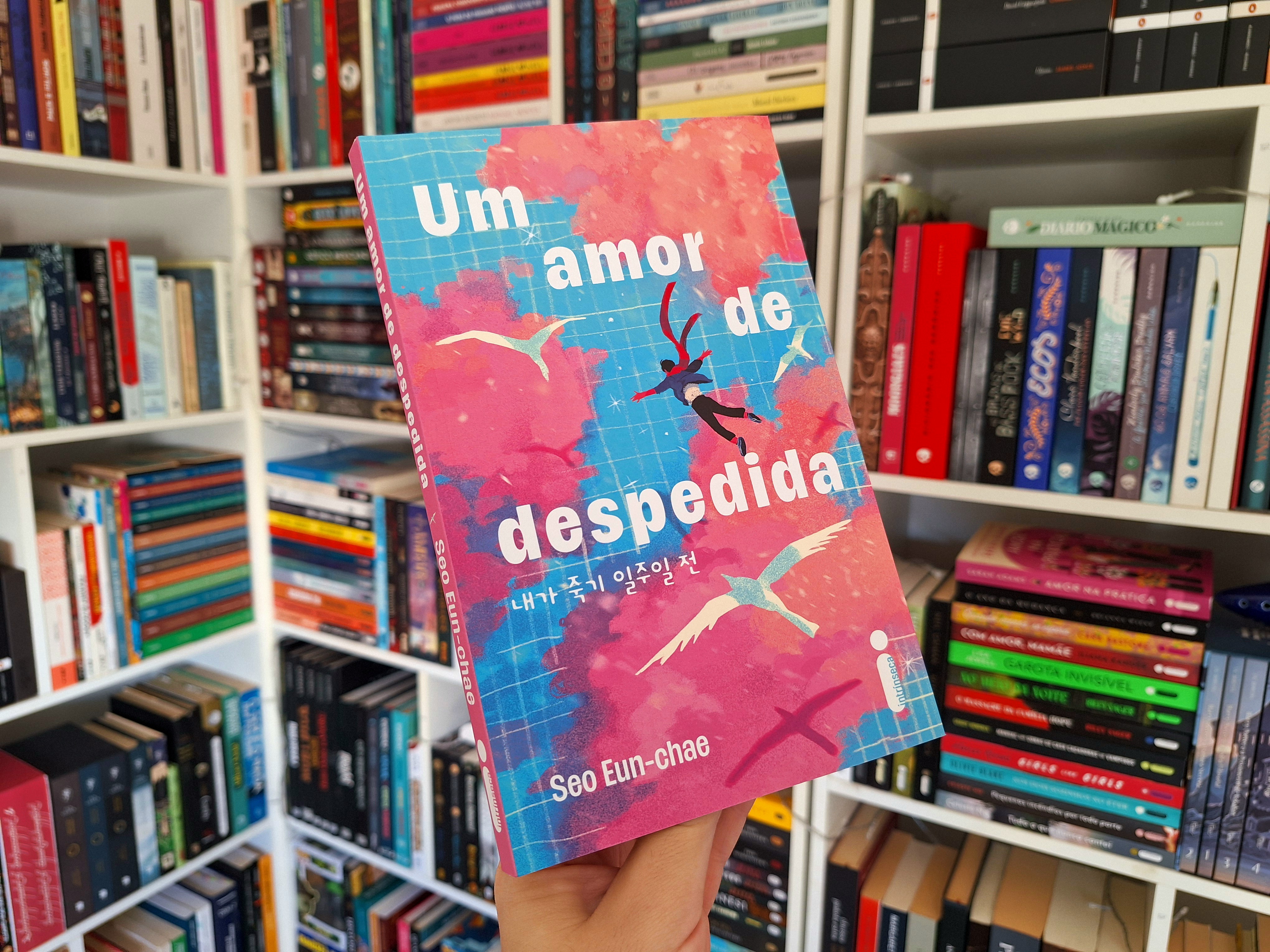 Capa do livro Um amor de despedida de Seo Eun-chae