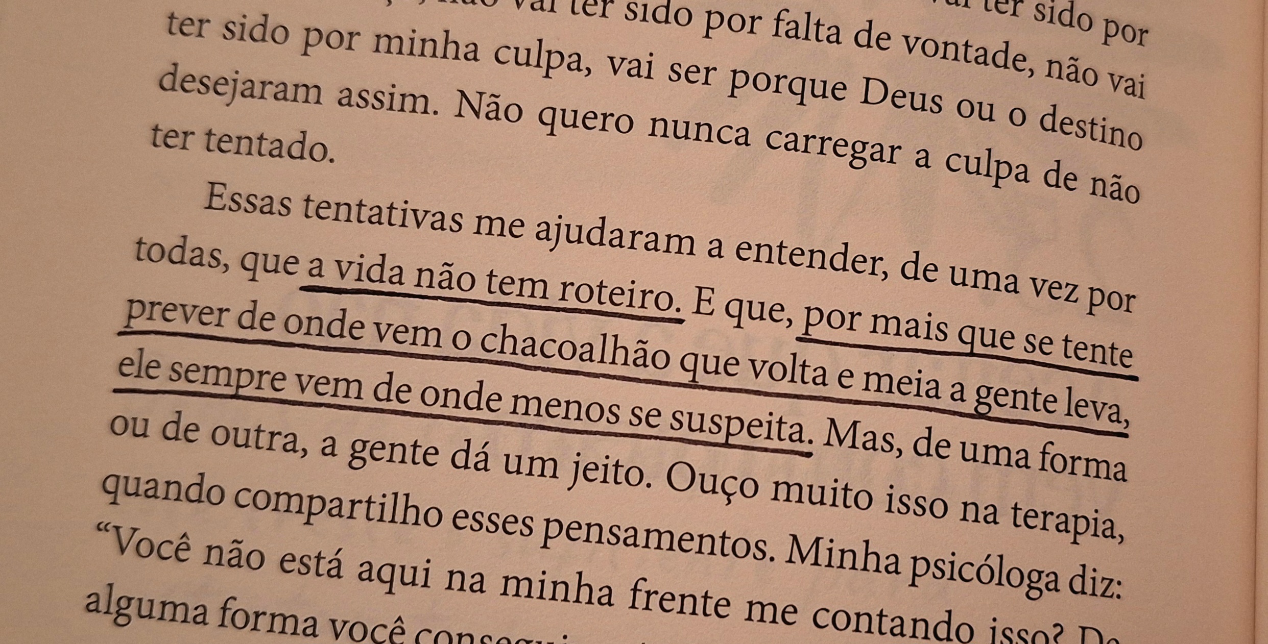 ter sido por minha culpa, vai ser porque Deus ou o destino desejaram assim. Não quero nunca carregar a culpa de não ter tentado.
Essas tentativas me ajudaram a entender, de uma vez por todas, que a vida não tem roteiro. E que, por mais que se tente prever de onde vem o chacoalhão que volta e meia a gente leva, ele sempre vem de onde menos se suspeita. Mas, de uma forma ou de outra, a gente dá um jeito. Ouço muito isso na terapia, quando compartilho esses pensamentos. Minha psicóloga diz: "Você não está aqui na minha frente me contando isso? De alguma forma você conseg...