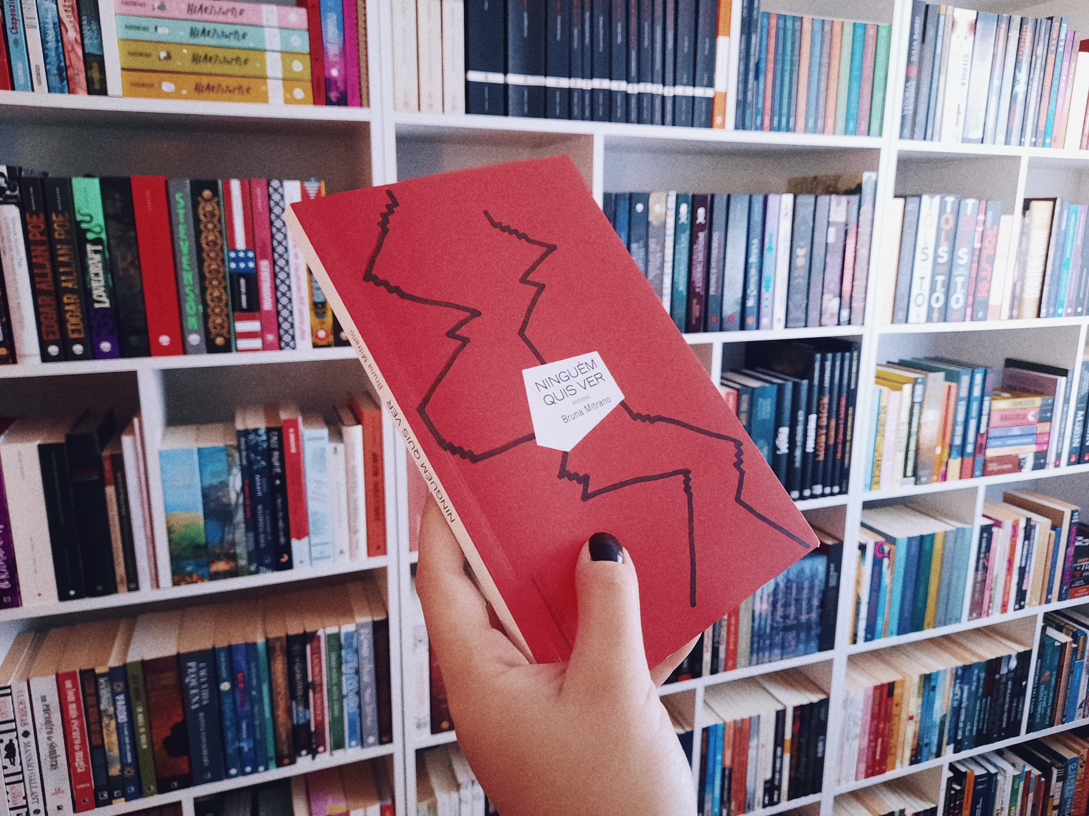 Capa do livro Ninguém quis ver de Bruna Mitrano