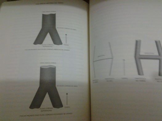 10300785_430913413739646_4366570616495760686_n