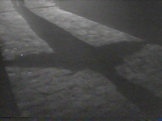 tf108afugitivesshadow