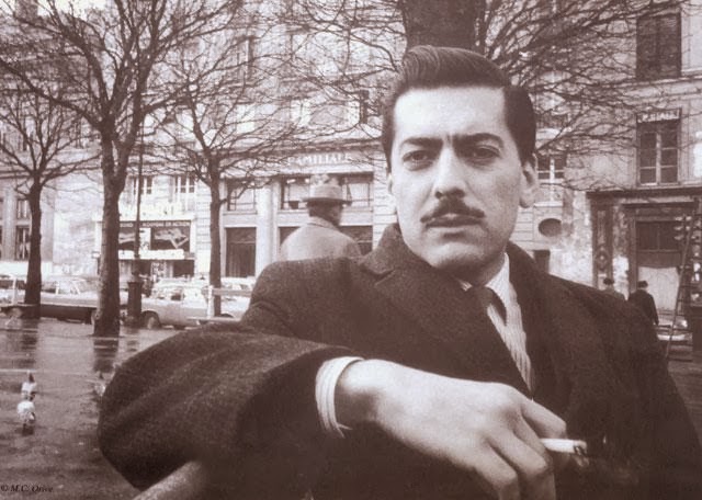 mario vargas llosa joven