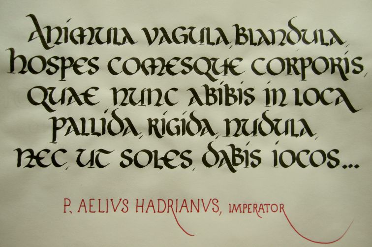 animula_vagula_blandula_by_derupe-d2xoycm