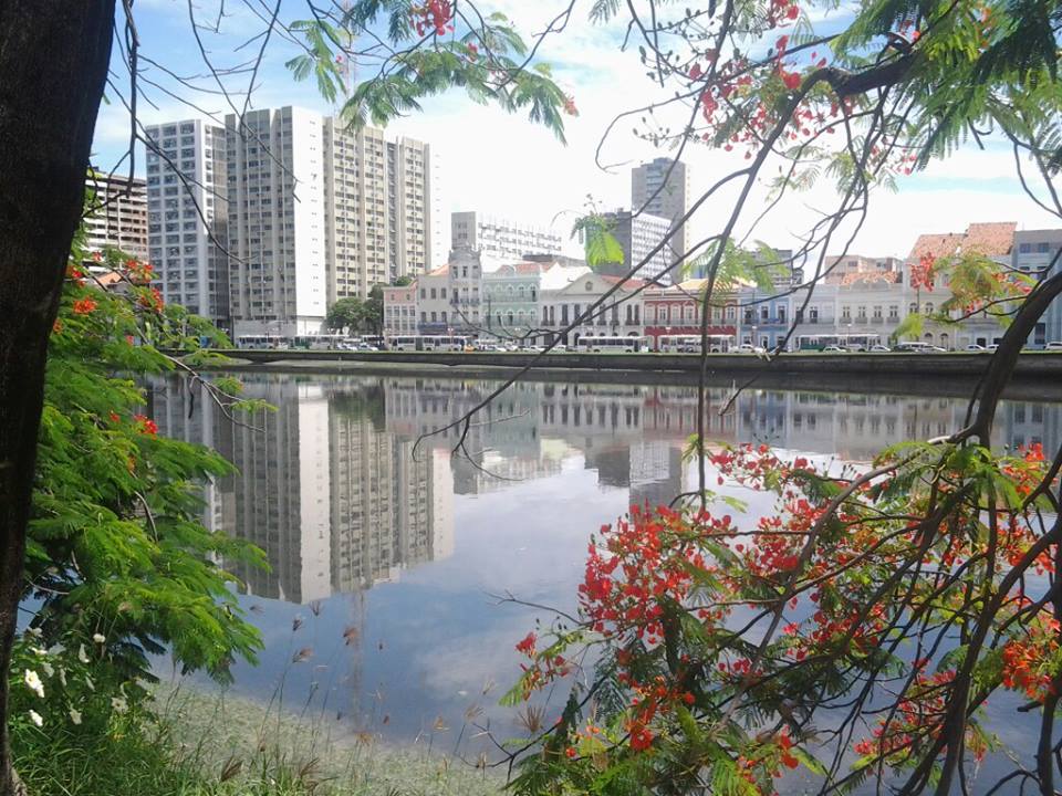 983753_174398039391186_820377360_n