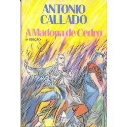 a-madona-de-cedro-antonio-callado_MLB-O-2930875872_072012