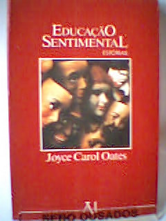 educação sentimental