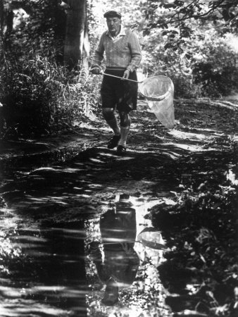 mais peripécias pninescas