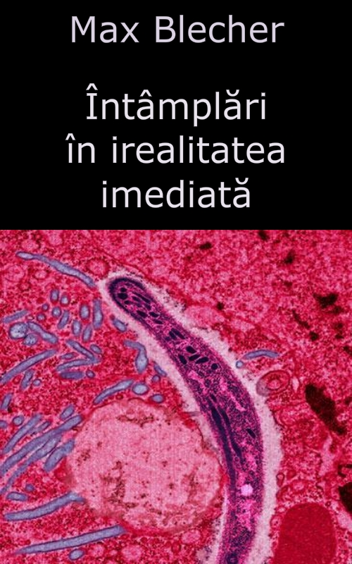 Intamplari in irealitatea imediata
