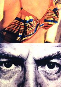 tradução ótima, capa ridícula