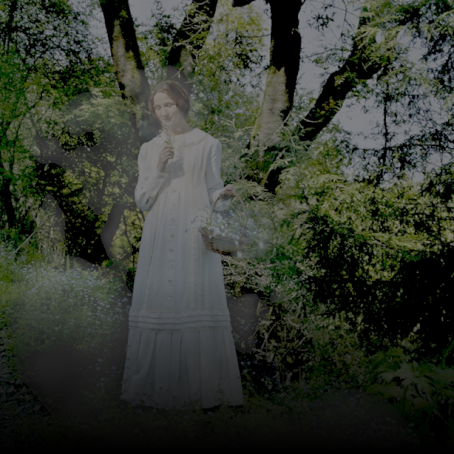 emily dickinson fantasmática