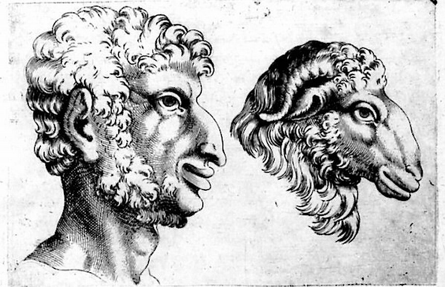 11755756_1112895802072372_6780493760762762960_n