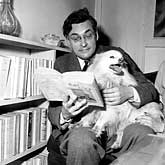 queneu (2) queneu (2)