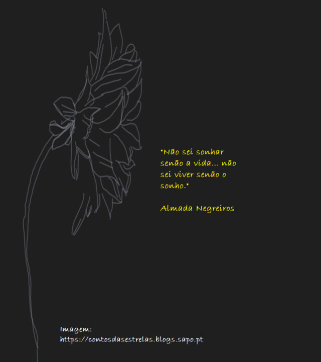 flor lateral preto - Almada.bmp