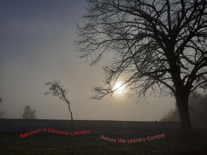 OKpara blog e postal.png