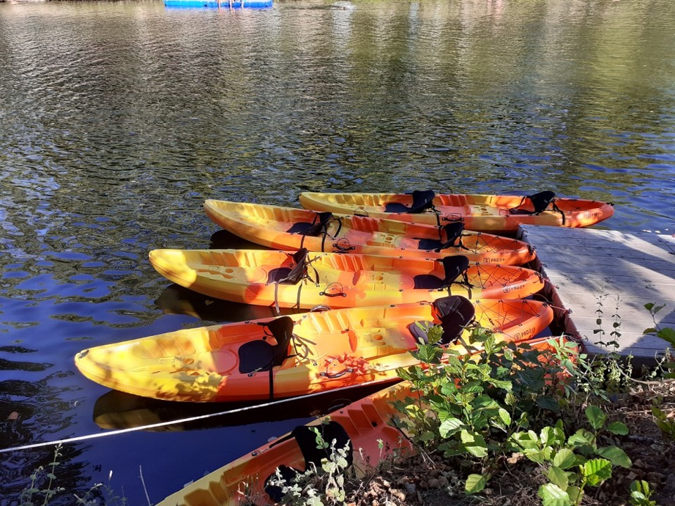 canoas verao flores.jpg