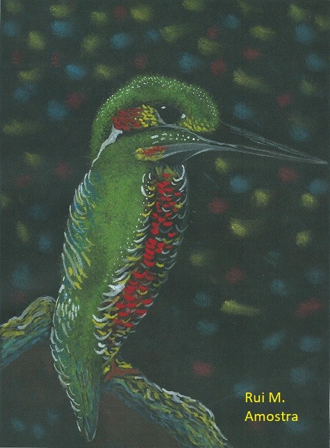 AmostraPassaro1 Desenhos.jpg