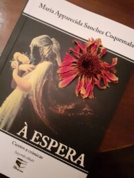 livro a espera maria1.jpg
