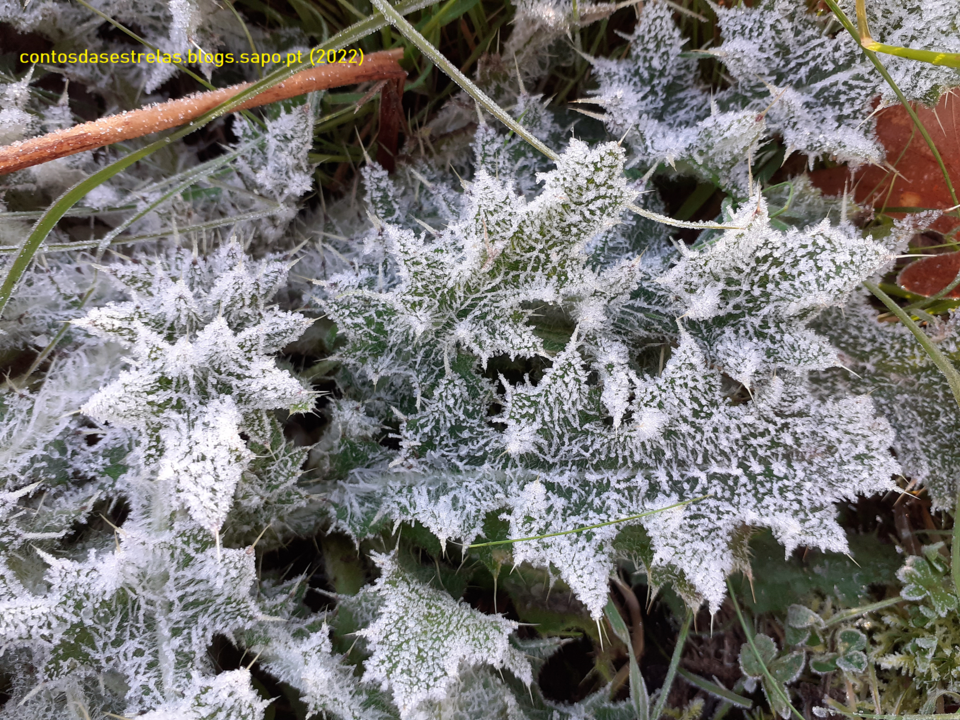 contos agua gelo.png