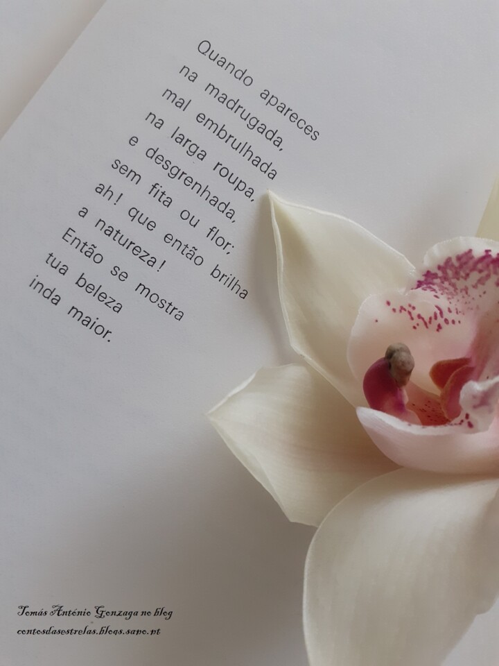 Tomás Antonio Gonzaga.jpg