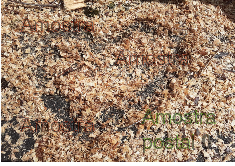 postal0 com marca.png