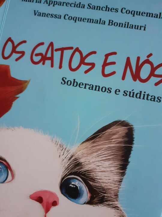 capa gatos.jpg