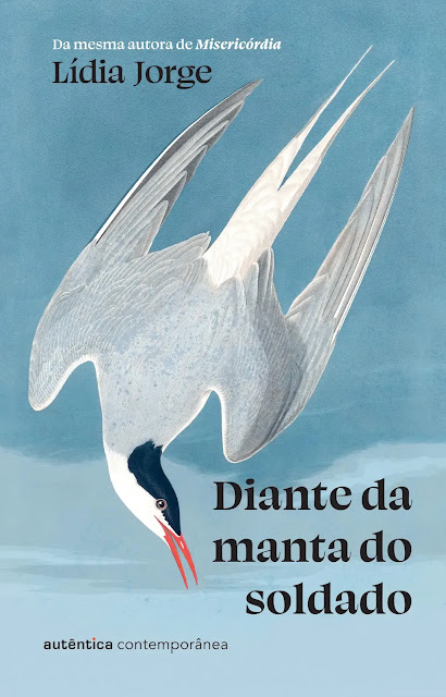 Capa do livro Diante da manta do soldado de Lídia Jorge